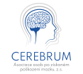 Cerebrum